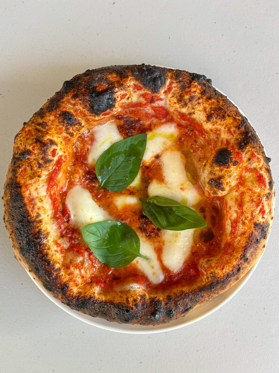 Margherita pizza with crispy, charred edges and sugo, mozzarella and basil in the centre.